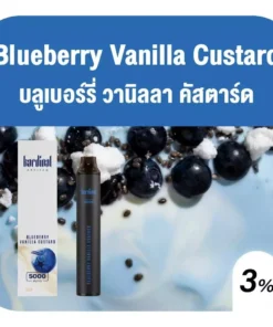 Blueberry Vanilla Custard